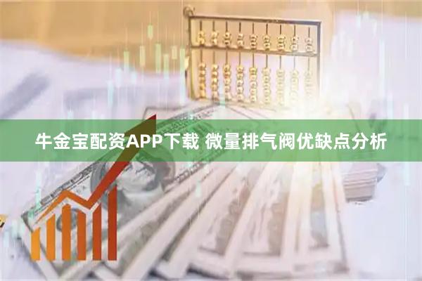 牛金宝配资APP下载 微量排气阀优缺点分析