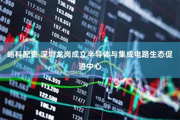 峪科配资 深圳龙岗成立半导体与集成电路生态促进中心