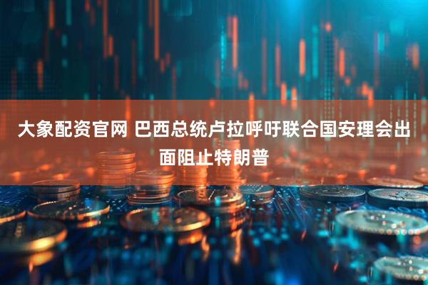 大象配资官网 巴西总统卢拉呼吁联合国安理会出面阻止特朗普