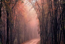 配资炒股平台有哪些:股票交流交流群-“8连板”牛股天普股份：如股价进一步异常上涨 可能申请停牌核查